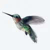 The Hummingbird - Demos - Single